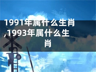 1991年属什么生肖,1993年属什么生肖