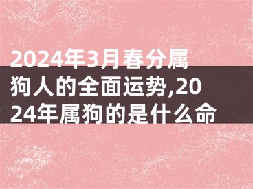 2024年3月春分属狗人的全面运势,2024年属狗的是什么命