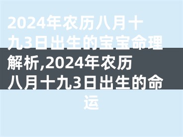2024年农历八月十九3日出生的宝宝命理解析,2024年农历八月十九3日出生的命运