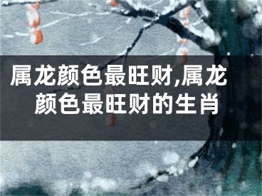 属龙颜色最旺财,属龙颜色最旺财的生肖
