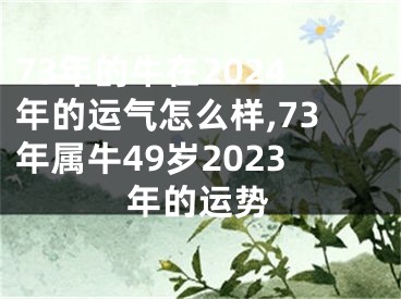 73年的牛在2024年的运气怎么样,73年属牛49岁2023年的运势