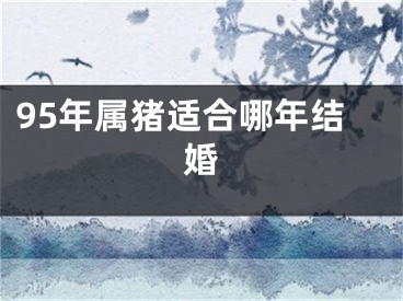 95年属猪适合哪年结婚