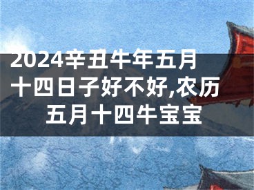 2024辛丑牛年五月十四日子好不好,农历五月十四牛宝宝