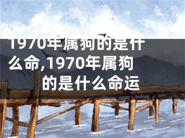 1970年属狗的是什么命,1970年属狗的是什么命运