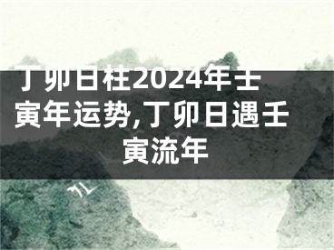 丁卯日柱2024年壬寅年运势,丁卯日遇壬寅流年