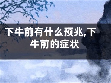 下牛前有什么预兆,下牛前的症状