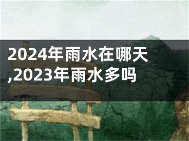 2024年雨水在哪天,2023年雨水多吗
