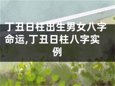 丁丑日柱出生男女八字命运,丁丑日柱八字实例