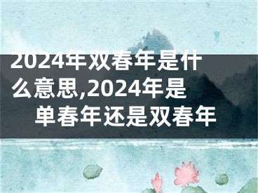 2024年双春年是什么意思,2024年是单春年还是双春年