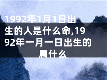 1992年1月1日出生的人是什么命,1992年一月一日出生的属什么