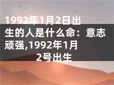 1992年1月2日出生的人是什么命：意志顽强,1992年1月2号出生