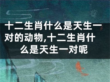 十二生肖什么是天生一对的动物,十二生肖什么是天生一对呢