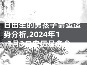 2024年11月30日出生的男孩子命运运势分析,2024年11月3日农历是多少