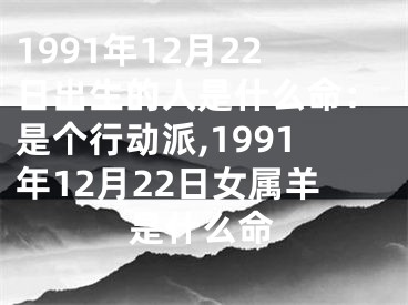 1991年12月22日出生的人是什么命：是个行动派,1991年12月22日女属羊是什么命