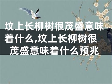 坟上长柳树很茂盛意味着什么,坟上长柳树很茂盛意味着什么预兆