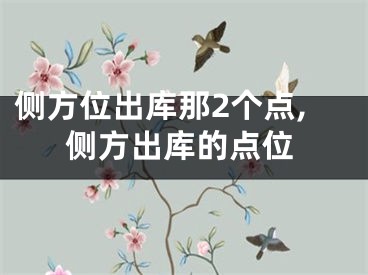 侧方位出库那2个点,侧方出库的点位