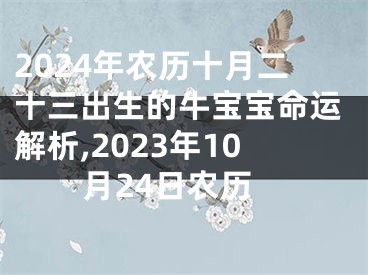 2024年农历十月二十三出生的牛宝宝命运解析,2023年10月24日农历