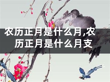 农历正月是什么月,农历正月是什么月支