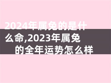 2024年属兔的是什么命,2023年属兔的全年运势怎么样