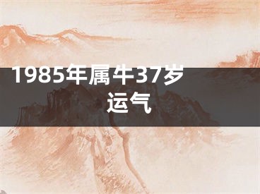 1985年属牛37岁运气