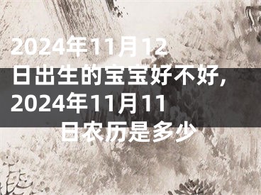 2024年11月12日出生的宝宝好不好,2024年11月11日农历是多少