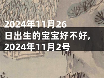 2024年11月26日出生的宝宝好不好,2024年11月2号