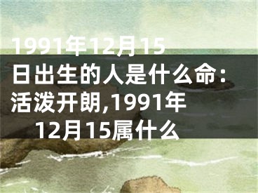 1991年12月15日出生的人是什么命：活泼开朗,1991年12月15属什么