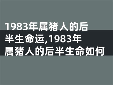 1983年属猪人的后半生命运,1983年属猪人的后半生命如何