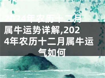 2024年农历十二月属牛运势详解,2024年农历十二月属牛运气如何