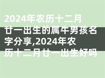 2024年农历十二月廿一出生的属牛男孩名字分享,2024年农历十二月廿一出生好吗
