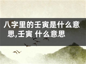 八字里的壬寅是什么意思,壬寅 什么意思