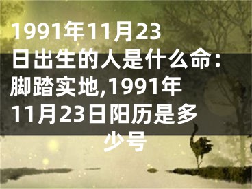 1991年11月23日出生的人是什么命：脚踏实地,1991年11月23日阳历是多少号