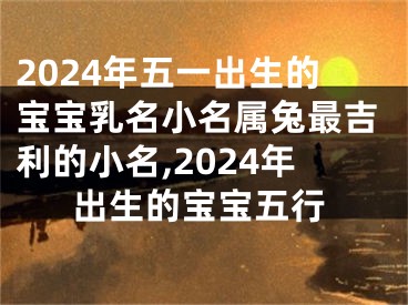 2024年五一出生的宝宝乳名小名属兔最吉利的小名,2024年出生的宝宝五行