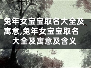 兔年女宝宝取名大全及寓意,兔年女宝宝取名大全及寓意及含义