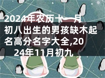 2024年农历十一月初八出生的男孩缺木起名高分名字大全,2024年11月初九