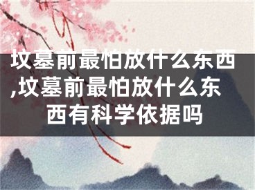 坟墓前最怕放什么东西,坟墓前最怕放什么东西有科学依据吗