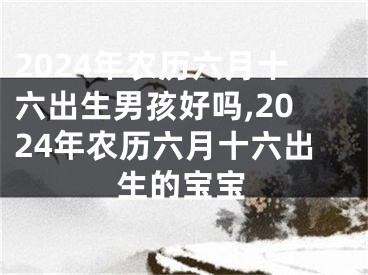 2024年农历六月十六出生男孩好吗,2024年农历六月十六出生的宝宝