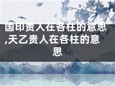 国印贵人在各柱的意思,天乙贵人在各柱的意思
