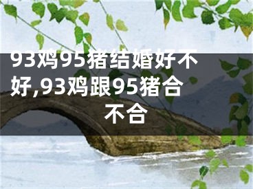93鸡95猪结婚好不好,93鸡跟95猪合不合