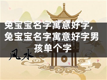 兔宝宝名字寓意好字,兔宝宝名字寓意好字男孩单个字