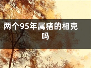 两个95年属猪的相克吗