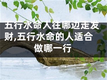 五行水命人往哪边走发财,五行水命的人适合做哪一行