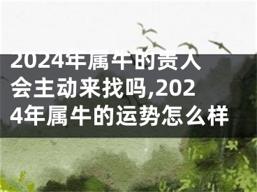2024年属牛的贵人会主动来找吗,2024年属牛的运势怎么样