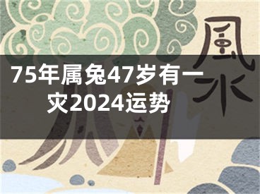 75年属兔47岁有一灾2024运势