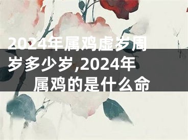 2024年属鸡虚岁周岁多少岁,2024年属鸡的是什么命