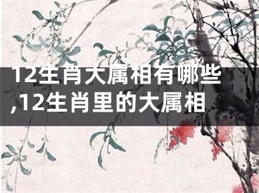 12生肖大属相有哪些,12生肖里的大属相