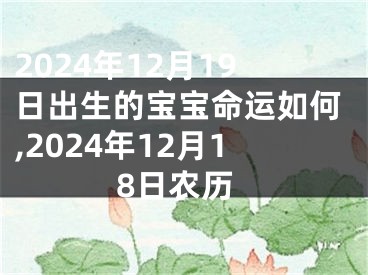 2024年12月19日出生的宝宝命运如何,2024年12月18日农历