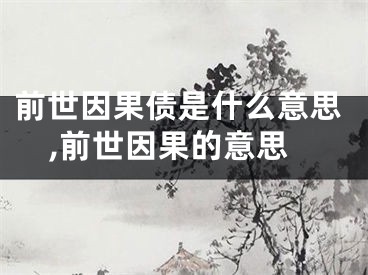 前世因果债是什么意思,前世因果的意思