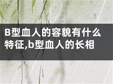 B型血人的容貌有什么特征,b型血人的长相
