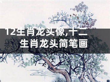 12生肖龙头像,十二生肖龙头简笔画